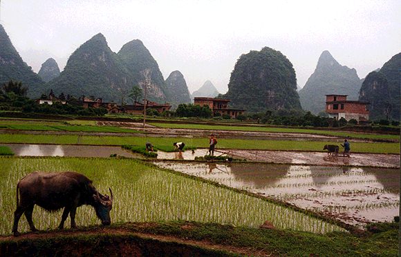 120 Yangshuo.jpg (56974 bytes)