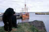 Bonavista_1.jpg (39985 bytes)