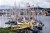 Bonavista_2.jpg (39587 bytes)