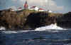 Bonavista_8.jpg (39773 bytes)