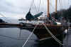 Raindancer.jpg (39256 bytes)