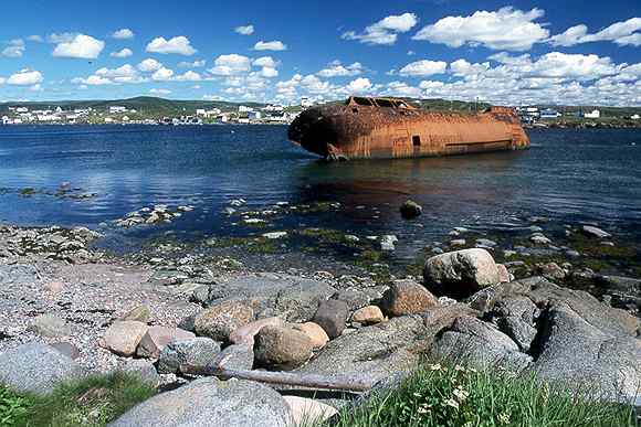 red bay 3.jpg (39654 bytes)