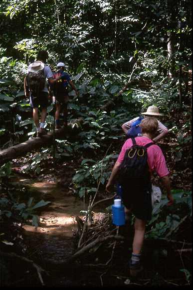 Trecking 158.jpg (39468 bytes)
