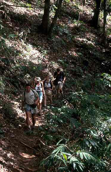 Trecking 160.jpg (39278 bytes)