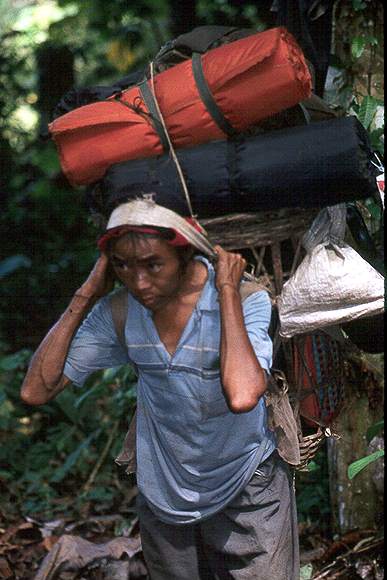 Trecking 162.jpg (39147 bytes)