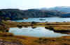 63B_Paakitsoq.jpg (40518 bytes)