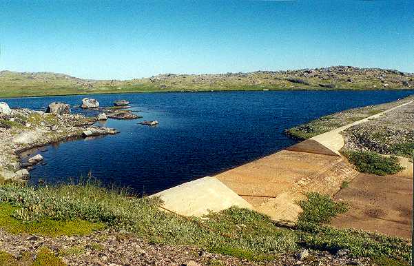 01 Cuthroat.jpg (45795 bytes)