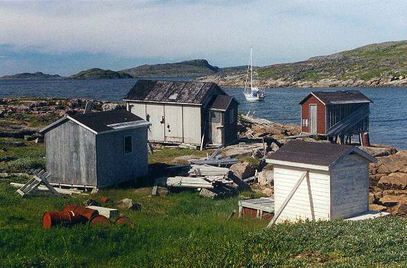 20 Cuthroat.jpg (49479 bytes)