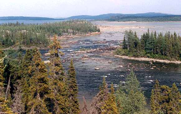 36.jpg (39880 bytes)