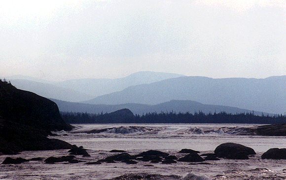 38.jpg (40018 bytes)