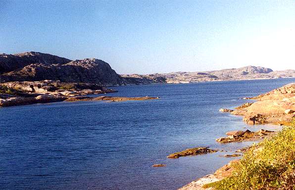 50.jpg (39862 bytes)