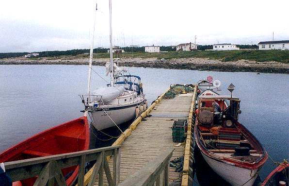 53.jpg (39603 bytes)