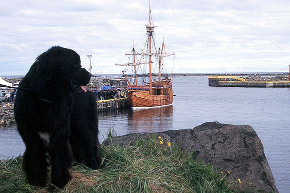 Bonavista 1.jpg (39985 bytes)