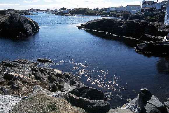 Isleauxmorts.jpg (39929 bytes)