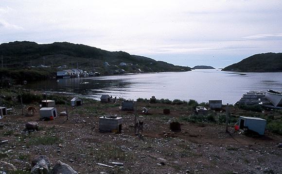 georges 4.jpg (39075 bytes)