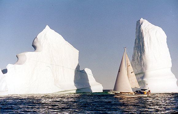 henly hbr 1.jpg (39830 bytes)