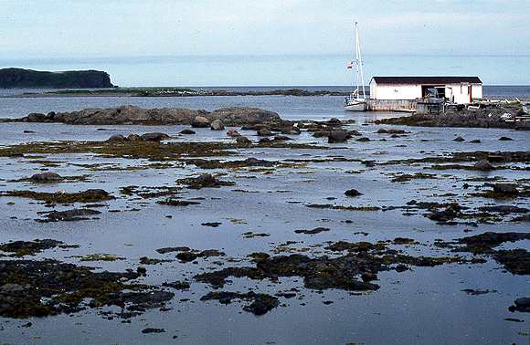 lanse aux meadows 1.jpg (39788 bytes)