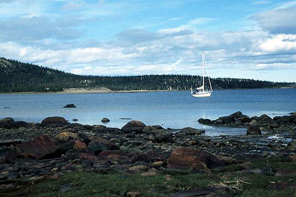 mid lab 7.jpg (39537 bytes)