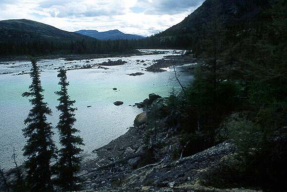 mid lab 8.jpg (39872 bytes)