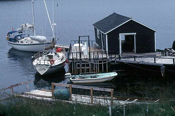moretons.jpg (39823 bytes)