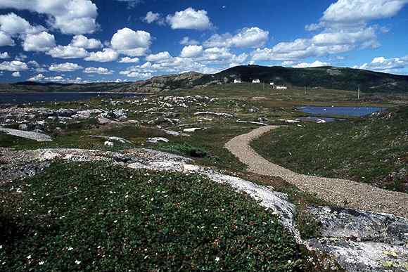 red bay 4.jpg (39238 bytes)